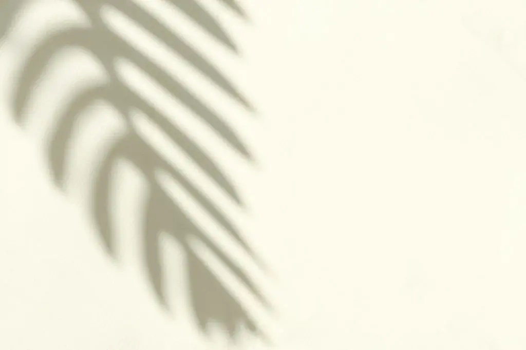 Silhouette of the shadow of a crooked branch