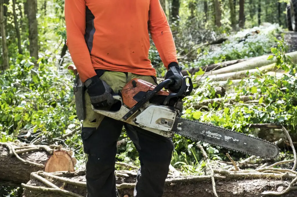 Taille et elagage paysagiste professionnel à Saint-Michel-Sur-Rhone